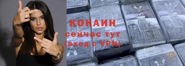 твердый Сосновый Бор