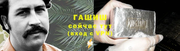 твердый Сосновый Бор