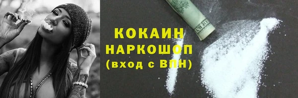 твердый Сосновый Бор