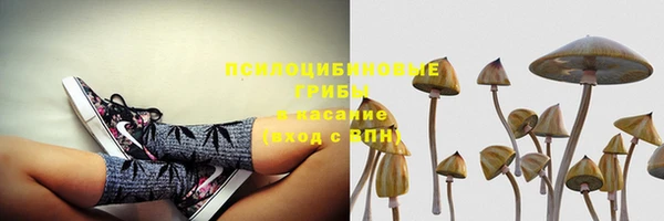стаф Сосновка