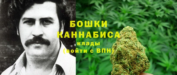 стаф Сосновка
