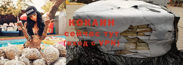 твердый Сосновый Бор