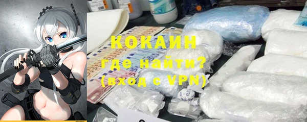 твердый Сосновый Бор