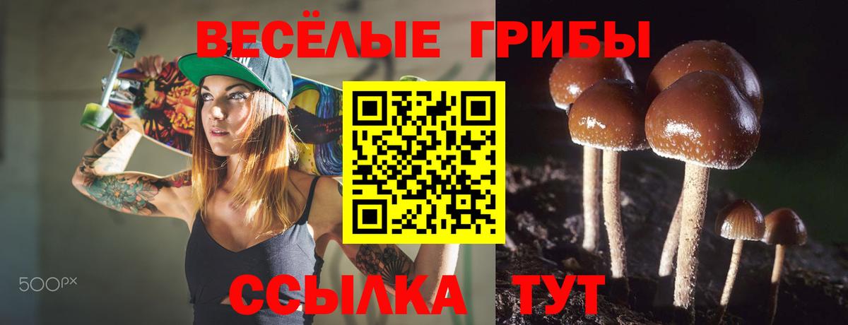 Псилоцибиновые грибы Psilocybe  купить наркотик  Красноярск 