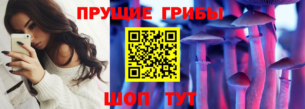 Псилоцибиновые грибы мухоморы Красноярск