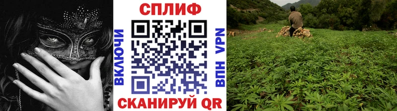 Конопля сатива Красноярск